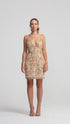 Deep Decollete Secret Mini Dress